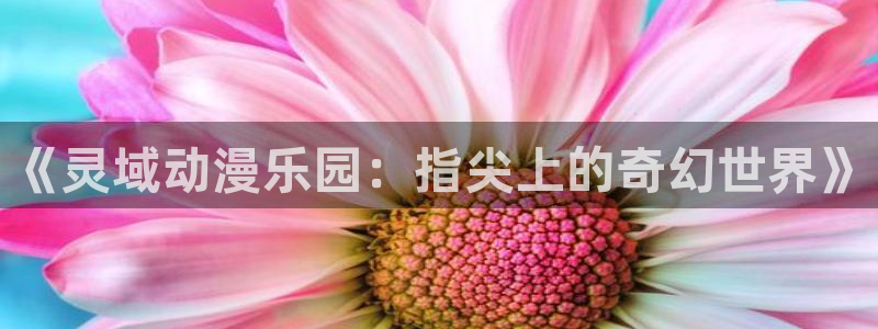 风车漫画 官网下载